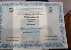 premiopoesianazionale